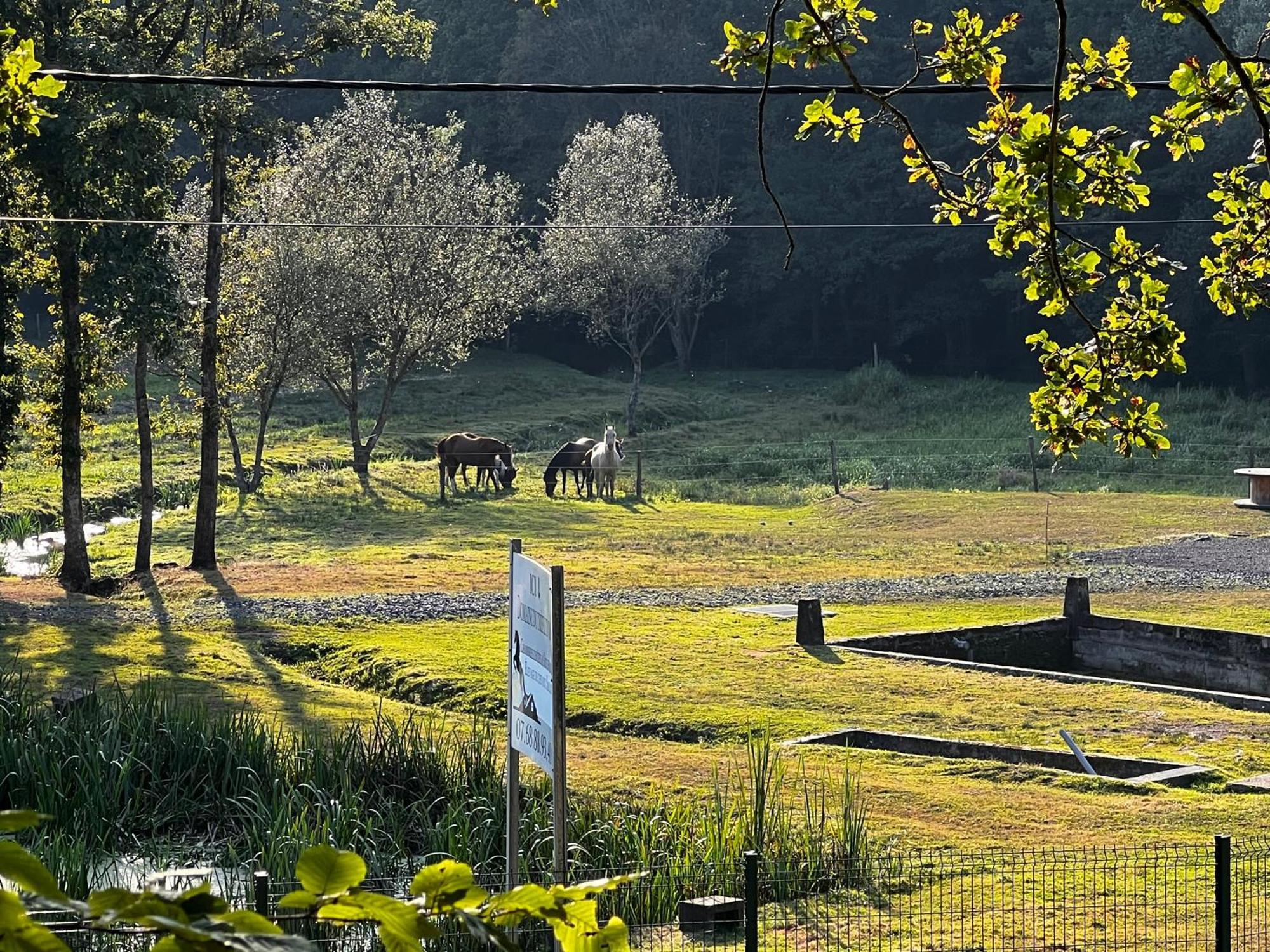 Maison D'Hotes En Pleine Nature Avec Chevaux Soucht Luaran gambar